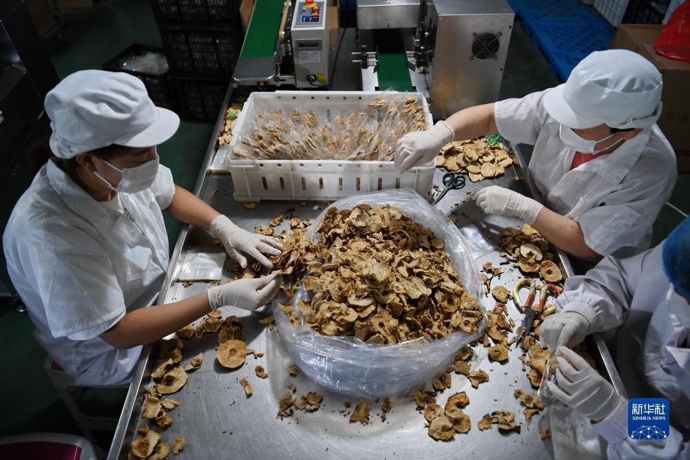 mg投注官网